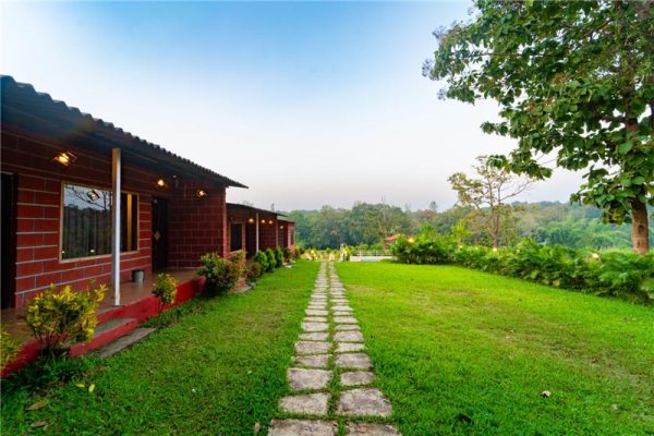 Jungle View Resort